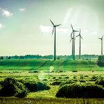 maestria-en-ciencia-en-ecologia-y-medio-ambiente
